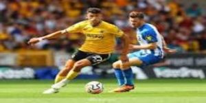 回到国内赛场，哈茨该如何修正？ - 九游娱乐