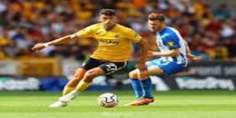 回到国内赛场，哈茨该如何修正？ - 九游娱乐