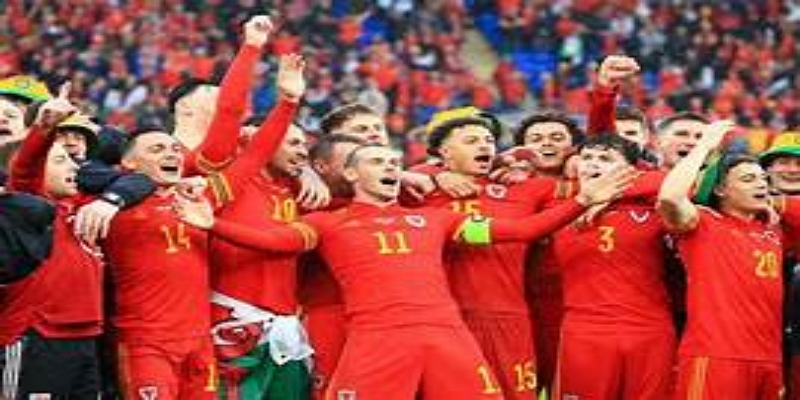 医疗团队初步评估与恢复方案-九游娱乐